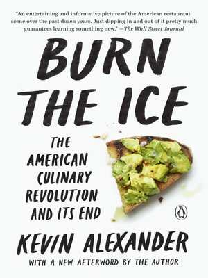 cover image of Burn the Ice